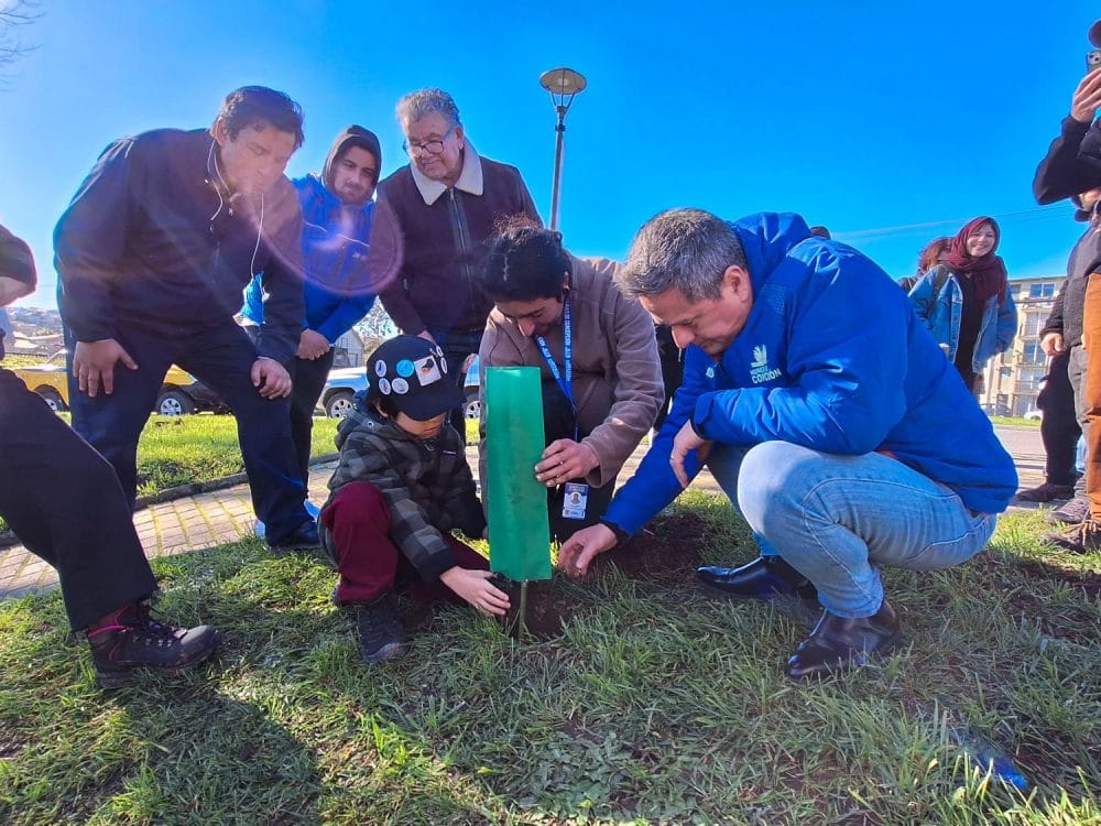 Concepción cierra el Mes del Medioambiente plantando árboles nativos en Laguna Lo Méndez