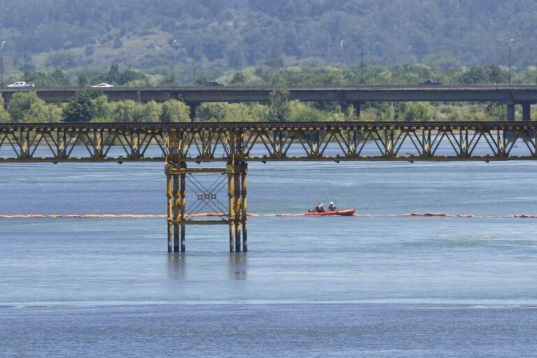 Puente Ferroviario: Transportes confirma que una cepa debe ser reforzada
