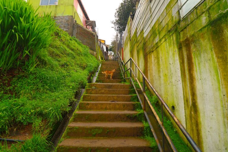 Cerro de Avenida Almirante Latorre de Talcahuano camino al Puerto San Vicente