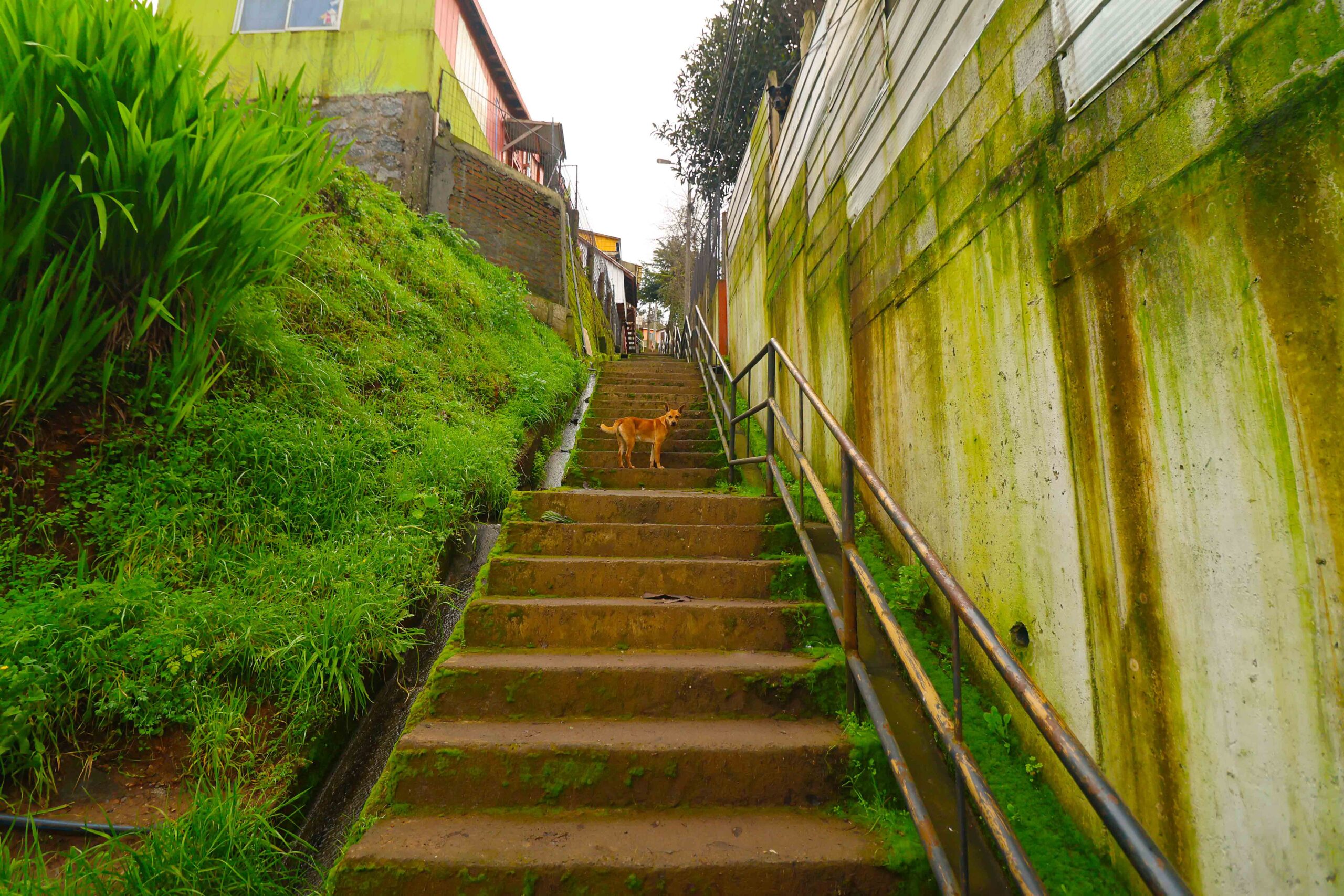 Cerro de Avenida Almirante Latorre de Talcahuano camino al Puerto San Vicente