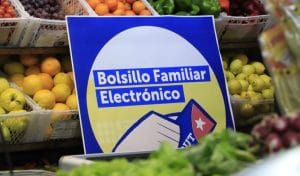 A clientes de Frontel y CGE Cuentas de la luz podrán ser pagadas con el Bolsillo Familiar Electrónico