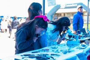 Feria de Ciencia y Robótica Escolar en Tomé inspiró a más de 600 asistentes