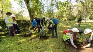 Se inicia plan de reforestación en el histórico Parque Isidora Cousiño de Lota