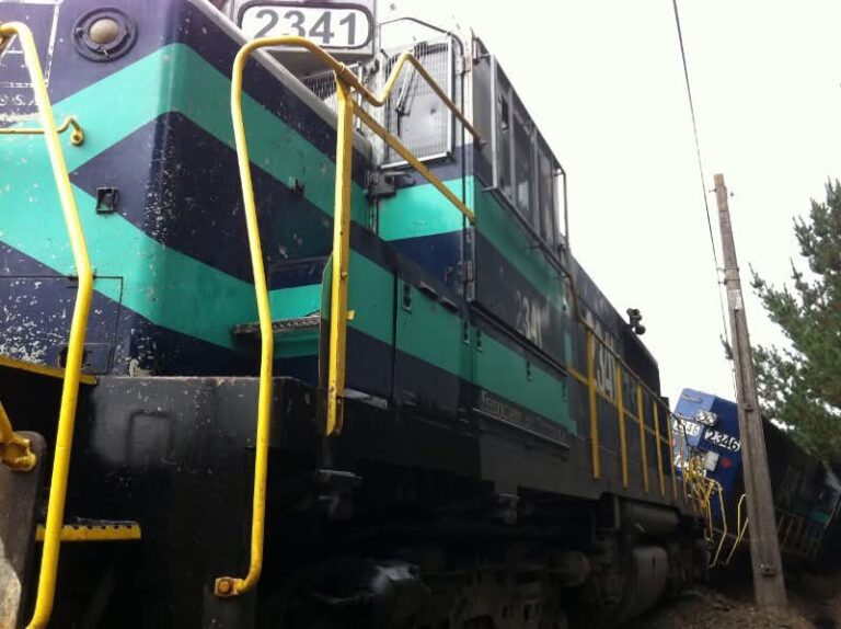 LOTA | Mujer muere tras ser atropellada por tren de carga en Colcura