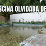 #Articulo : LA PISCINA OLVIDADA DE LOTA 