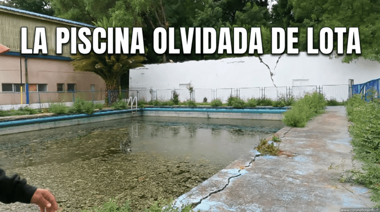 #Articulo : LA PISCINA OLVIDADA DE LOTA 