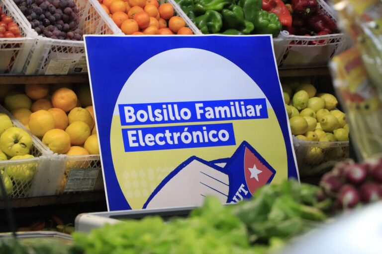 Comenzó el primero de los tres nuevos pagos del Bolsillo Familiar Electrónico