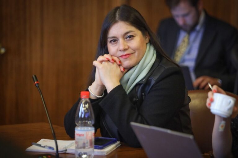 Diputada Karen Medina sobre la decisión del tribunal de liberar a Ernesto Llaitul