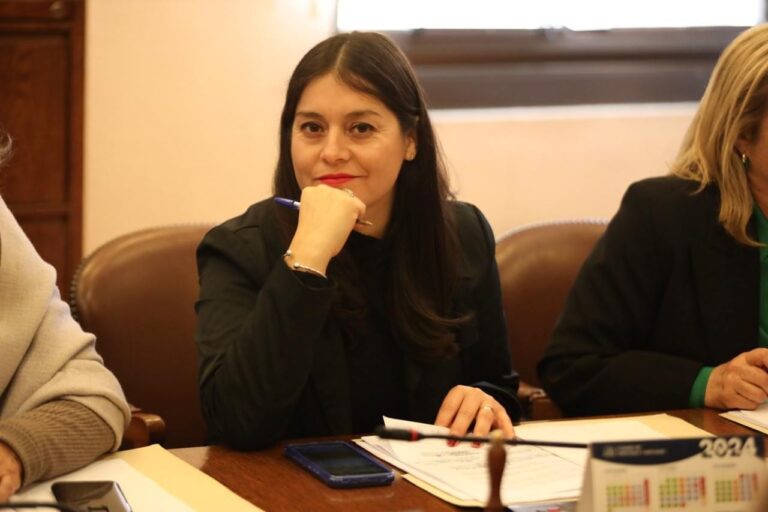 Diputada Karen Medina propone que viajes del Presidente deban ser aprobados por el Congreso