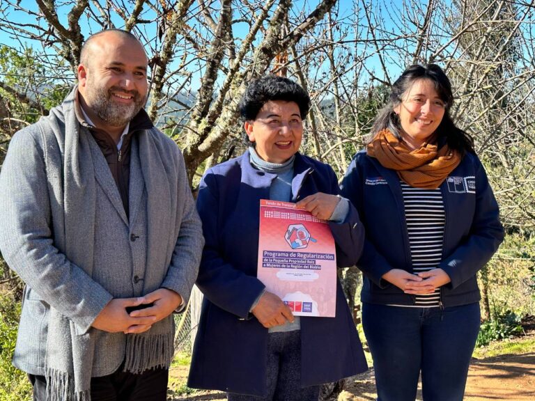 Por segundo año consecutivo Bienes Nacionales se adjudica financiamiento del Ministerio de la Mujer y Equidad de Género  para Regularizar Títulos de Dominio para las mujeres