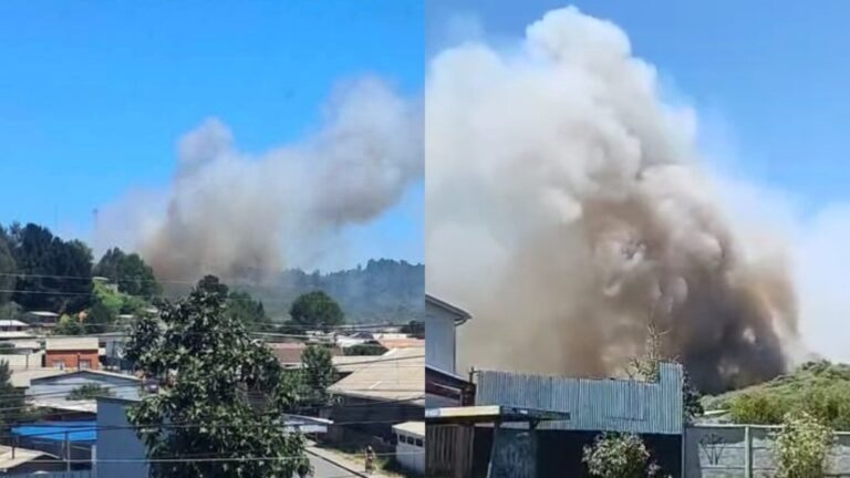 URGENTE: Senapred ordena EVACUAR sector de CORONEL por incendio forestal CERCANO a viviendas