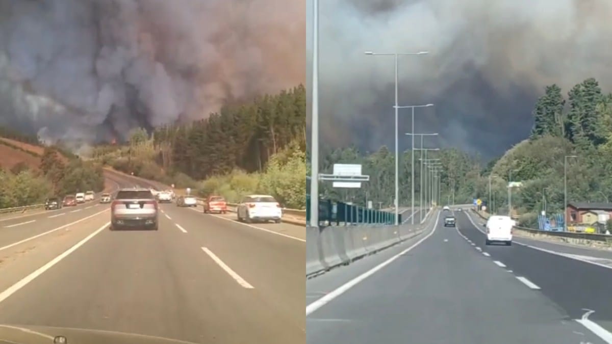 Revisa el ESTADO de las RUTAS en el Gran Concepción tras INCENDIOS FORESTALES