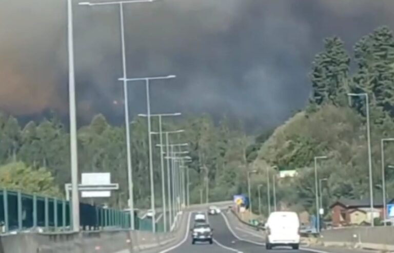 Incendio FORESTAL afecta a sector de CONCEPCIÓN y obliga a declarar ALERTA ROJA comunal