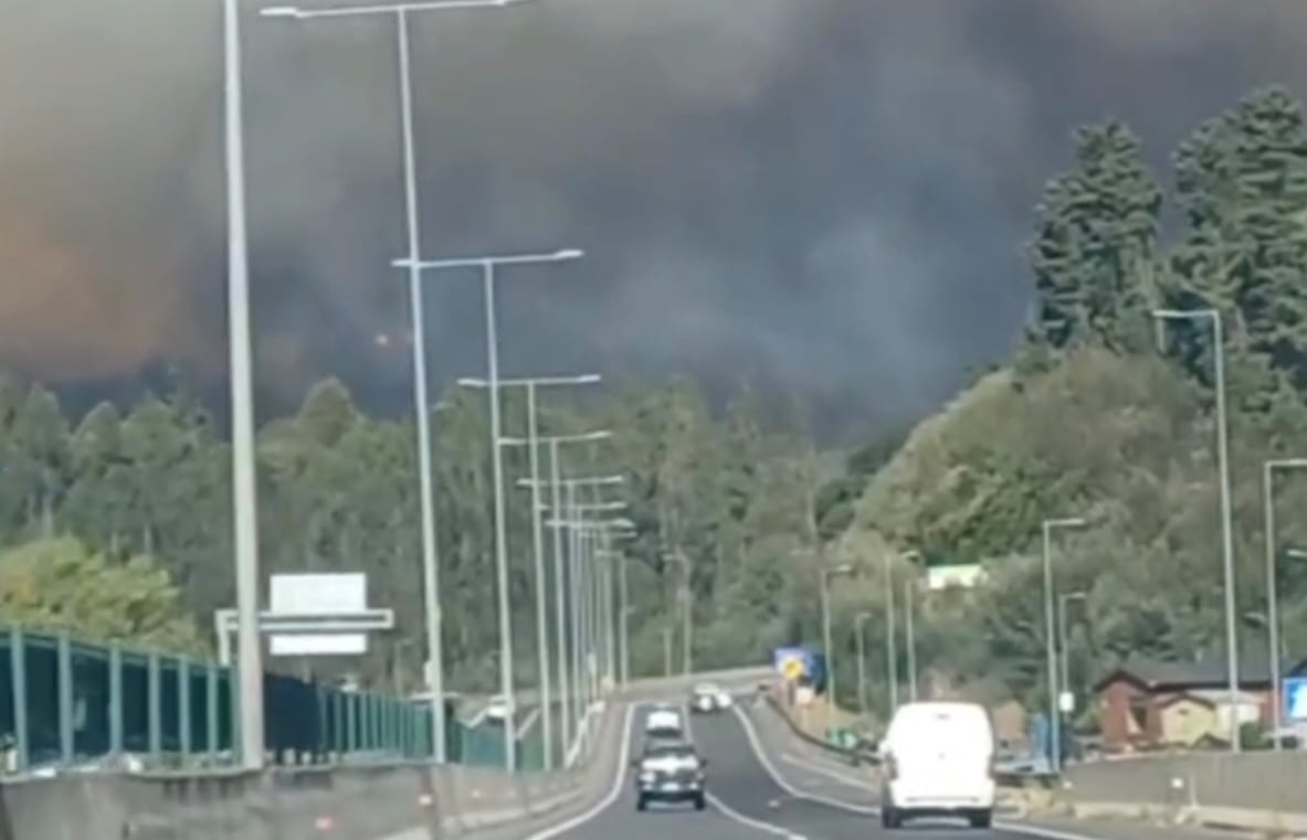 Incendio FORESTAL afecta a sector de CONCEPCIÓN y obliga a declarar ALERTA ROJA comunal