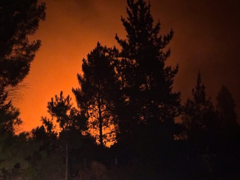 Incendio provoca CORTE MASIVO de luz en varios SECTORES del Gran Concepción