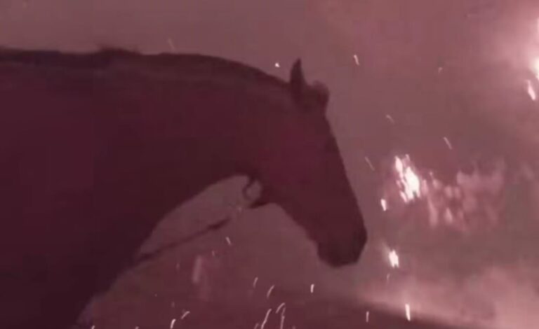 «Caminando por el INFIERNO»: Video muestra a HOMBRE y un caballo ATRAVEZANDO el fuego desde Tomé a LIRQUÉN el día de la TRAGEDIA