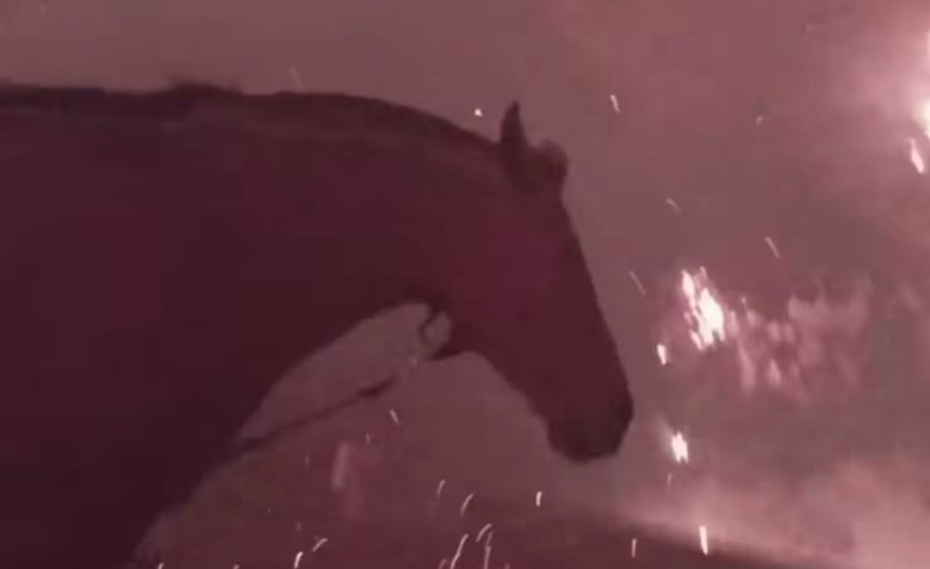«Caminando por el INFIERNO»: Video muestra a HOMBRE y un caballo ATRAVEZANDO el fuego desde Tomé a LIRQUÉN el día de la TRAGEDIA