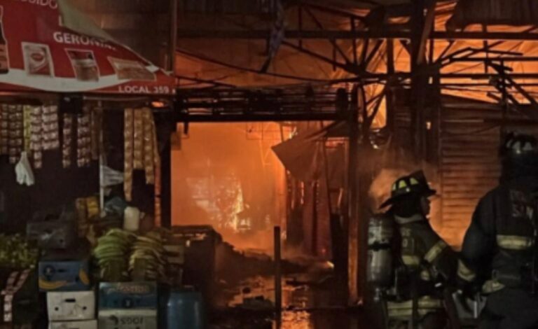 VIDEOS: Incendio de proporciones afectó a 54 LOCALES de la VEGA central