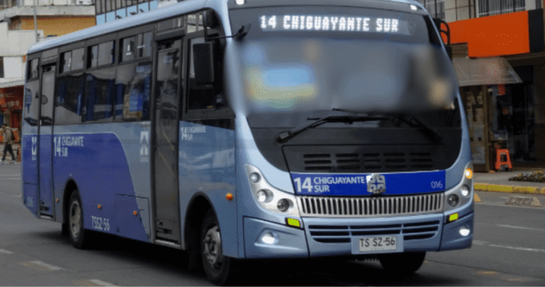 Hombre subió a micro para pedir dinero en Chiguayante gritó, hostigó a pasajeros y apedreó bus