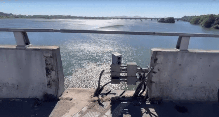 Delincuentes «sacan pedazo» de puente Bicentenario de Concepción tras robo de cables y cubrejunta