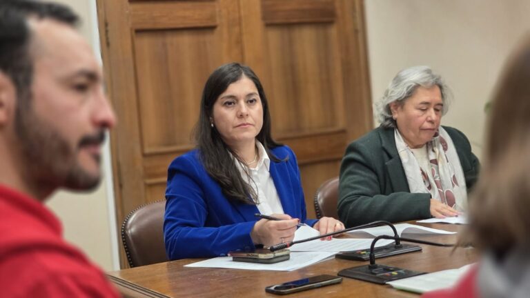 Diputada Karen Medina califica de “vergonzoso” el quiebre entre Boric y Kast y acusa daño a la tradición republicana – Eva Medios