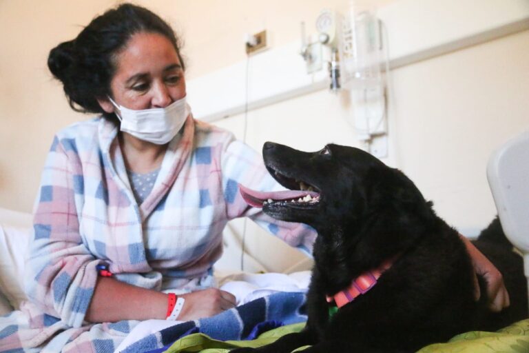 UN REENCUENTRO QUE SANA: HOSPITALES ABREN SUS PUERTAS PARA QUE MASCOTAS VISITEN A SUS HUMANOS HOSPITALIZADOS – Eva Medios