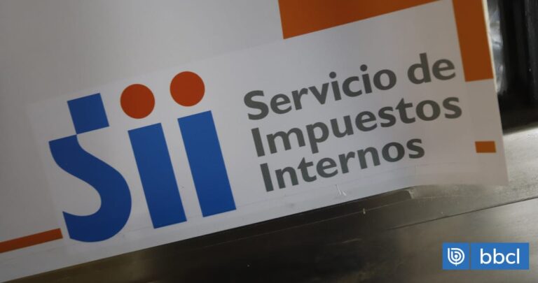 SII retrasa medida que obliga al comercio a detallar traslados en guías de despacho