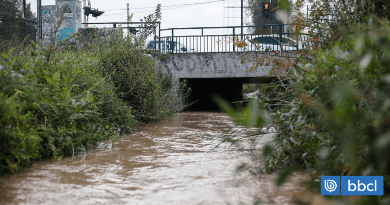 Vecinos acusan contaminación de canal en sector Petorquita de Hijuelas: causaría náuseas y mareos