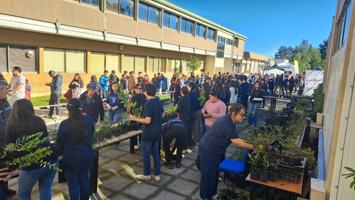 UdeC regalará MILES de árboles NATIVOS: Revisa como acceder a ellos GRATIS