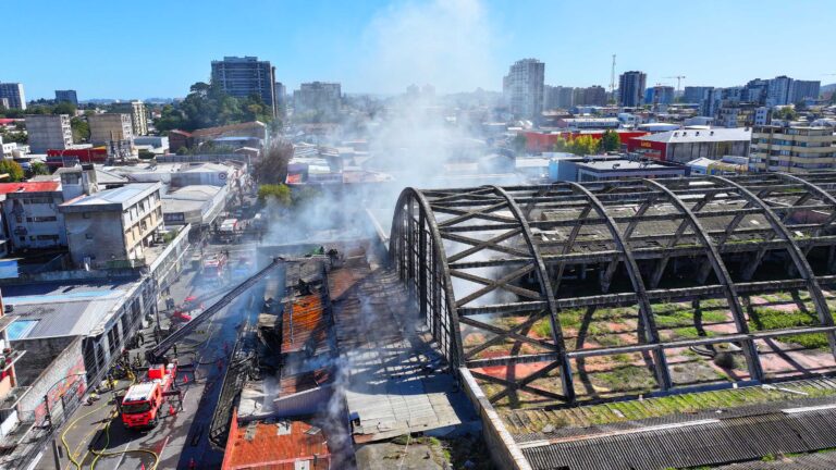 Plagas e inseguridad: las consecuencias de la extensa espera por reconstrucción del Mercado Central