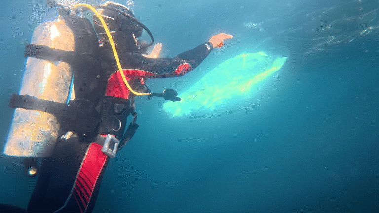 Rescate de una ballena en Caleta Chome: reflejo de una nueva forma de convivencia con los gigantes del mar