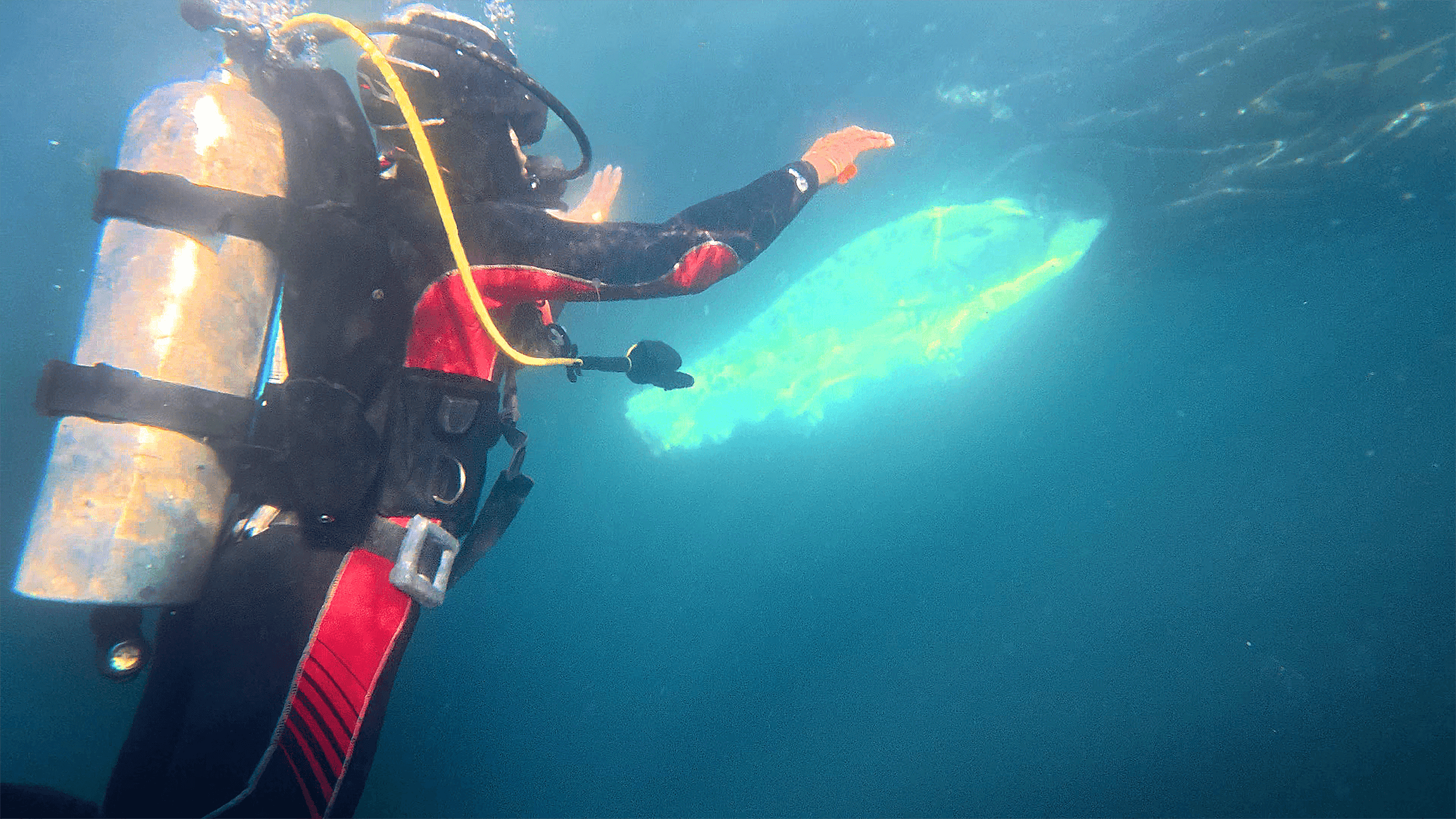 Rescate de una ballena en Caleta Chome: reflejo de una nueva forma de convivencia con los gigantes del mar