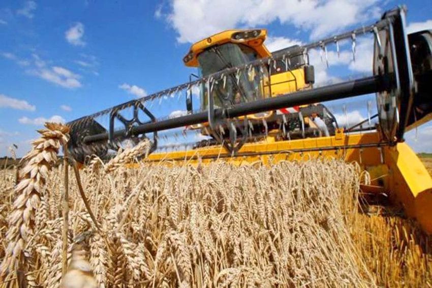 Molienda de trigo en Biobío cae 10,6% en marzo y reduce su aporte nacional