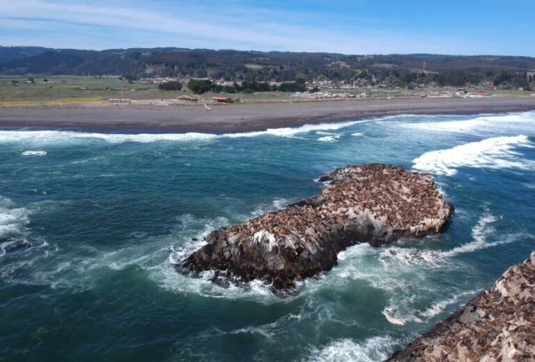 Cobquecura es Zona de Interés Turístico: alcanza nueva categoría por playas, biodiversidad y tradiciones