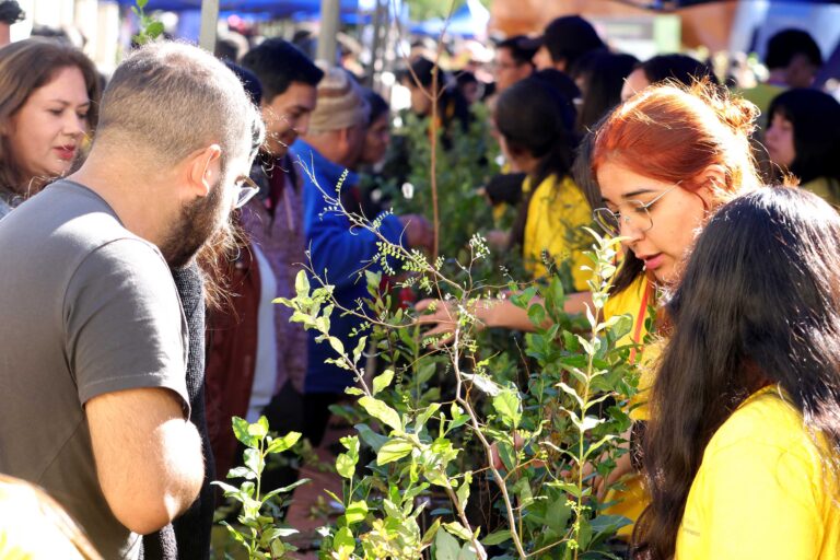 Ciencias Forestales UdeC realizó histórica entrega de árboles y apuesta por la reforestación urbana