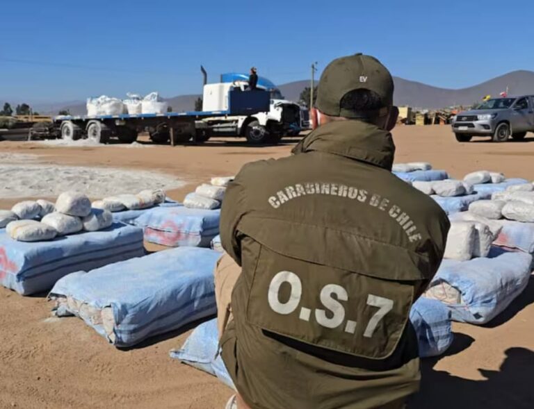 INCAUTAN casi UNA TONELADA DE MARIHUANA oculta en SACOS DE CEMENTO en la Ruta 5 rumbo a la Región Metropolitana