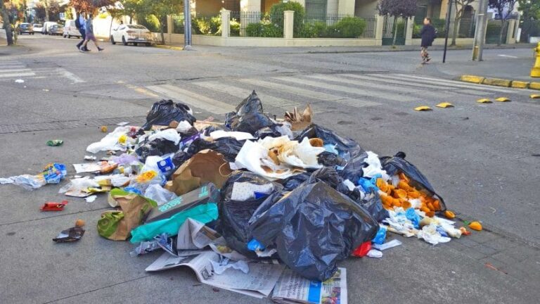 El costo del sobregiro ecológico