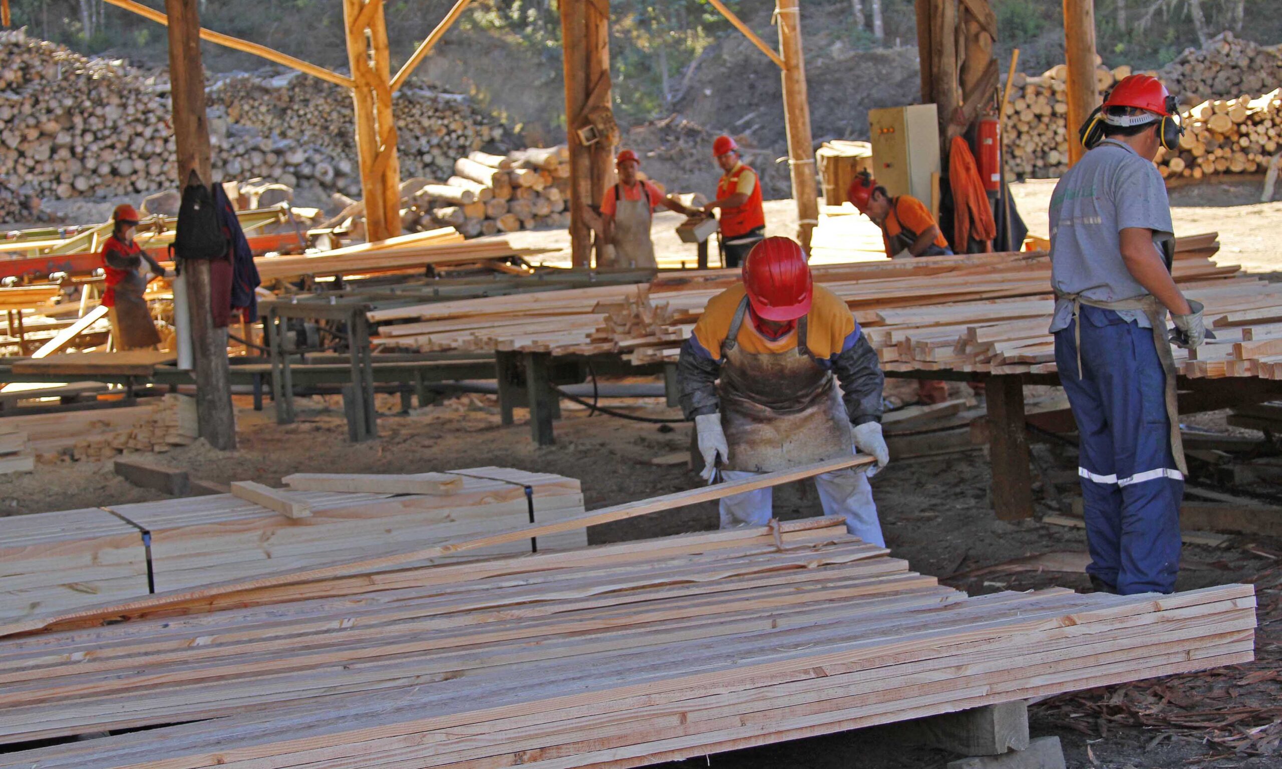 Sindicatos locales proponen una Zona Económica Especial para la Región