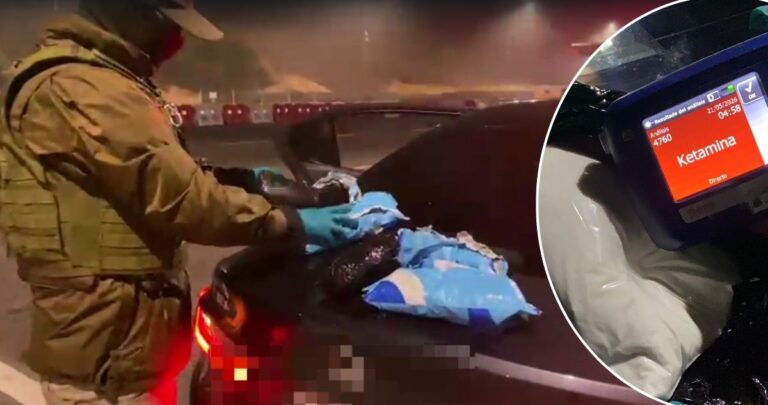 Can detector de drogas descubre a conductor con más de 5 kilos de ketamina en peaje Agua Amarrilla