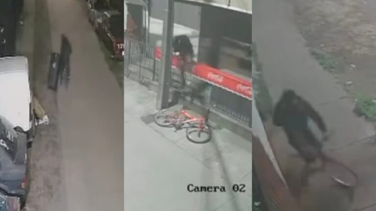 «LADRÓN de la BICICLETA» ARRASA con viviendas en Hualpén: Vecinos denuncian estar INDEFENSOS