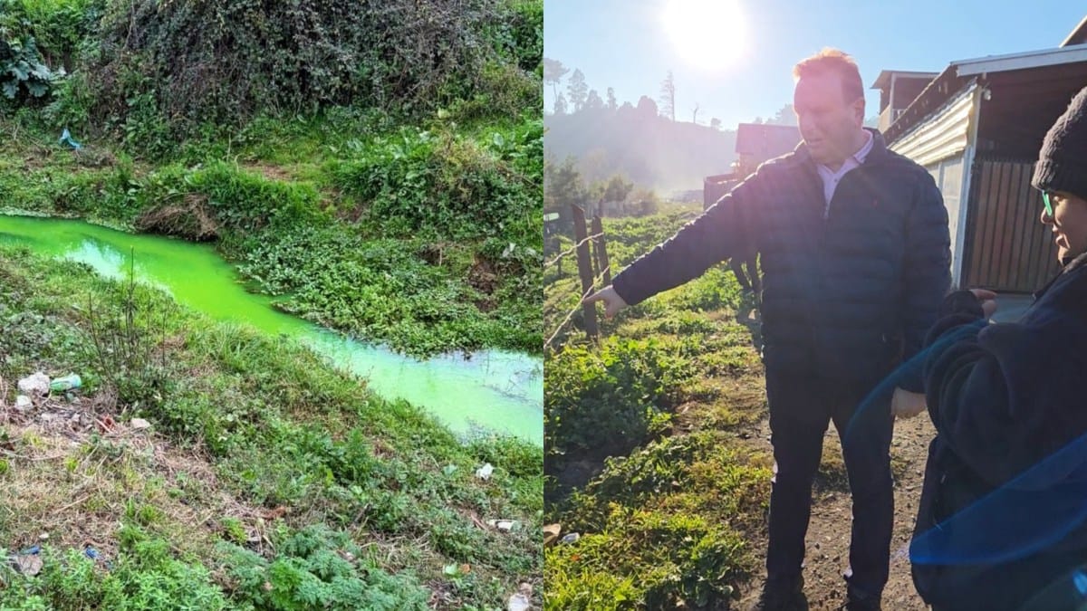 Municipio de Penco denuncia GRAVE CONTAMINACIÓN en el Estero Cosmito y exige INVESTIGACIÓN INMEDIATA