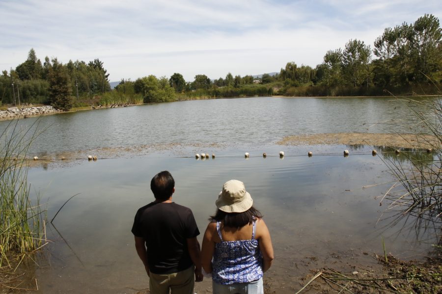 De balneario histórico a humedal amenazado: la realidad de la laguna Rayencura de Hualqui