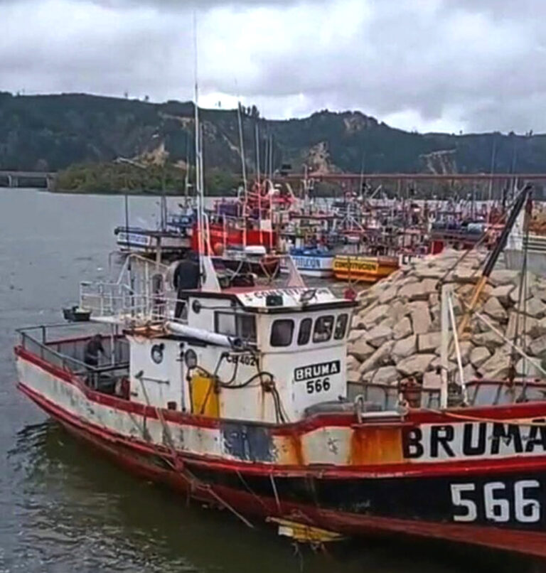 Deber de auxilio y mayor seguridad al navegar: “Ley Bruma” suma respaldo en el Biobío