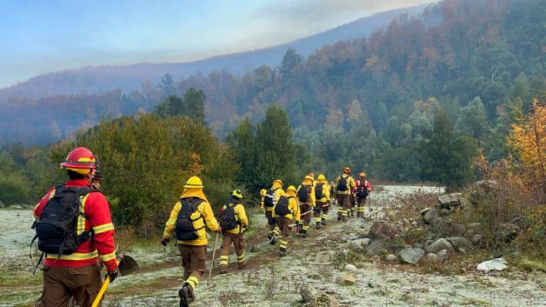 Robles, coihues y raulíes bajo amenaza: el impacto de los incendios forestales en la cordillera del Biobío