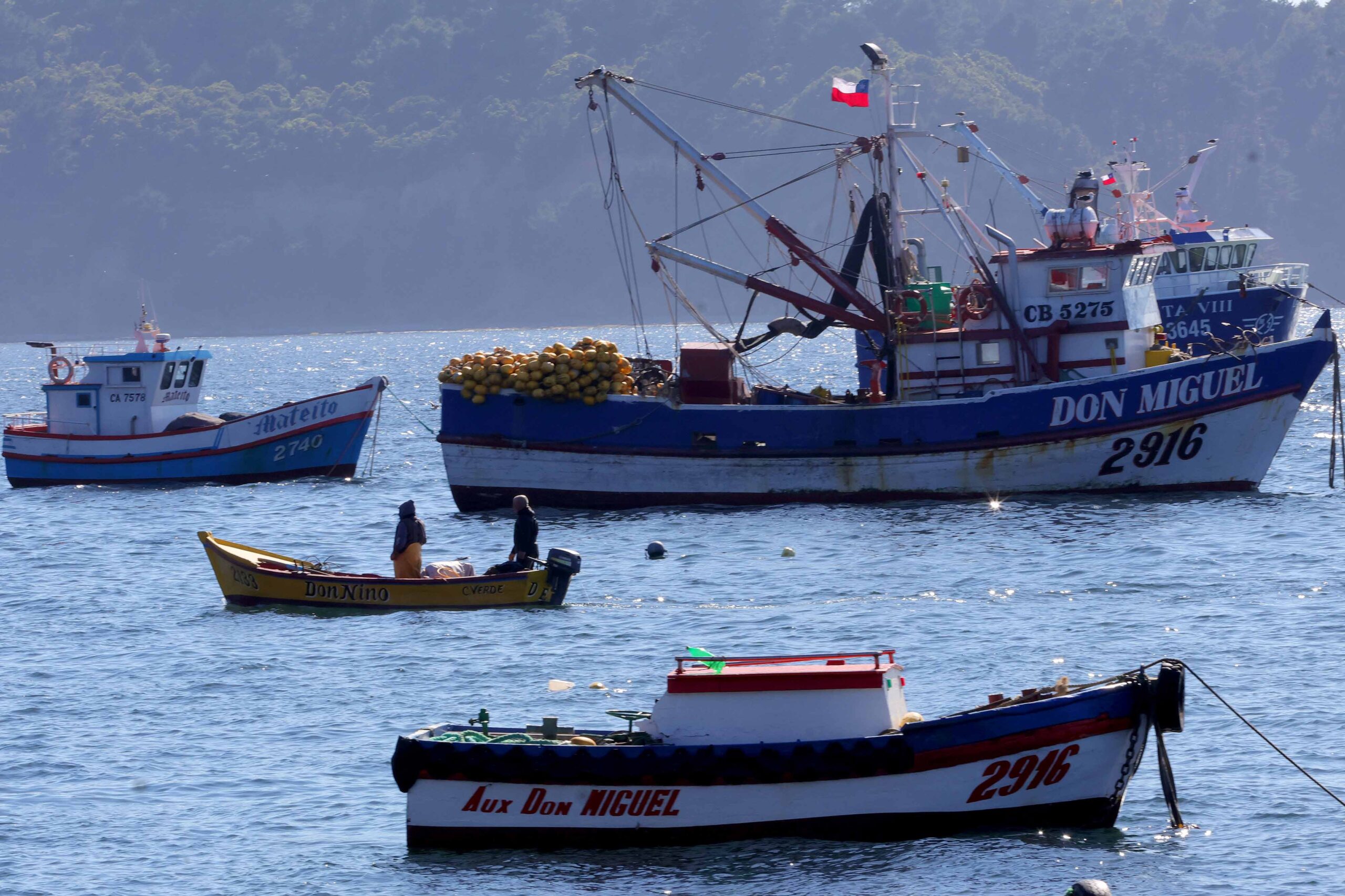 Pescadores artesanales piden conocer estado, plazos y mecanismo de entrega del subsidio al combustible