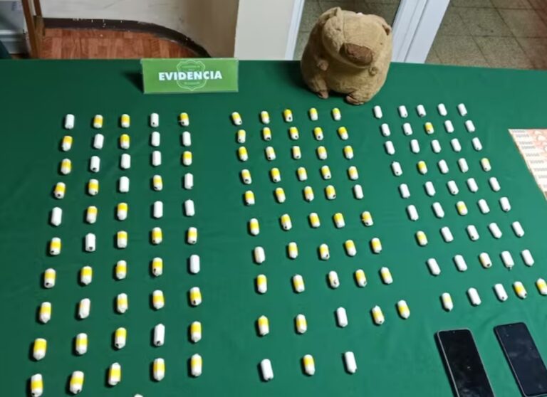 PELUCHE de CAPIBARA delató CARGAMENTO de COCAÍNA en bus hacia el Sur