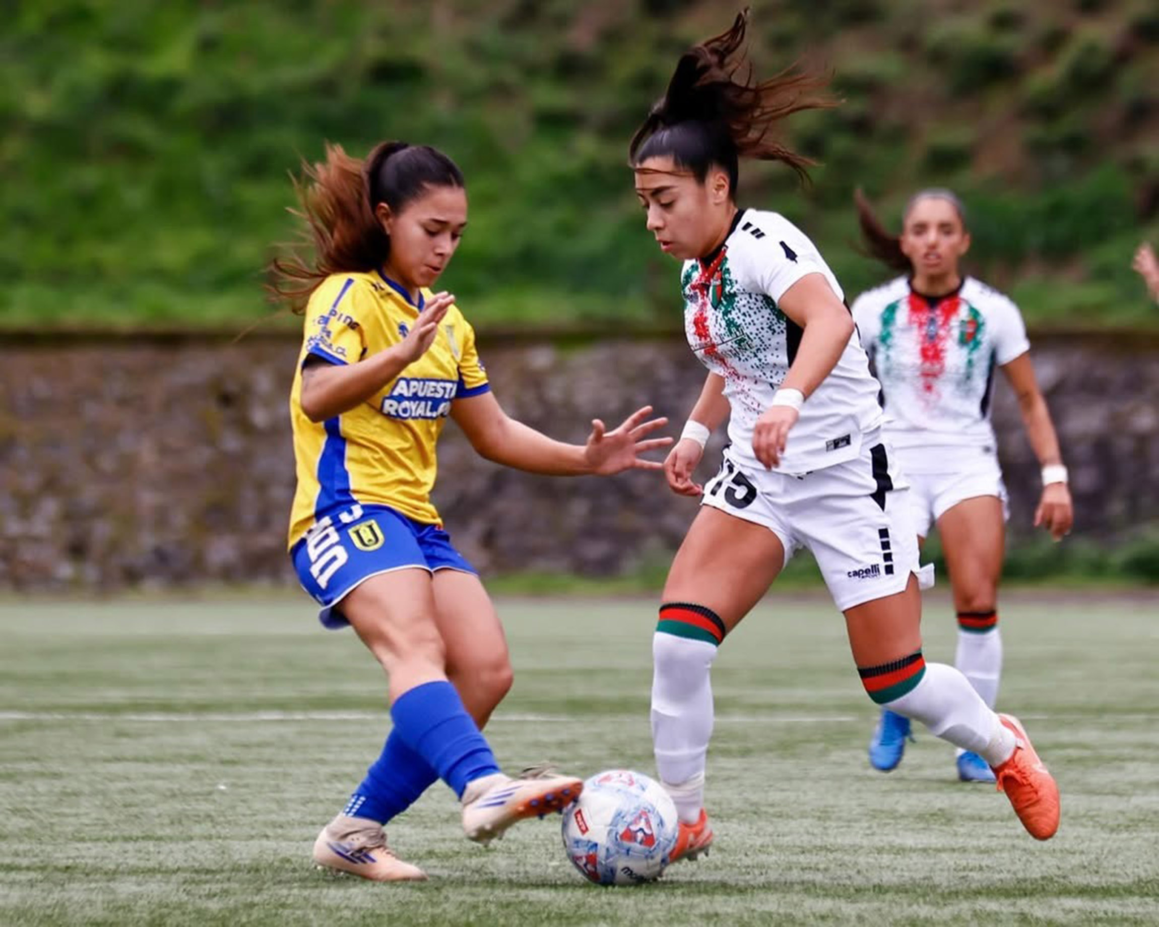 Acereras no pudieron ante el líder y la UdeC sumó frente a Palestino