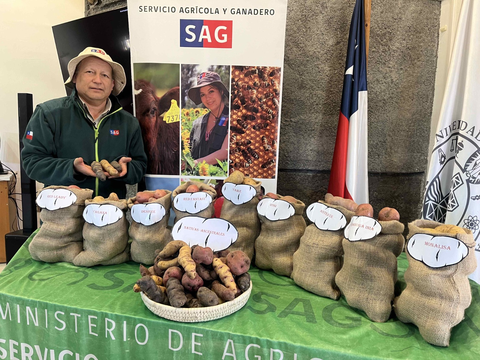 Conmemoran Día Internacional de la Papa en Biobío con charlas y degustación