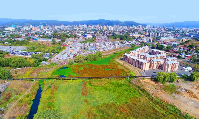 Humedal Paicaví: rechazan recurso de protección que buscaba frenar proyecto inmobiliario