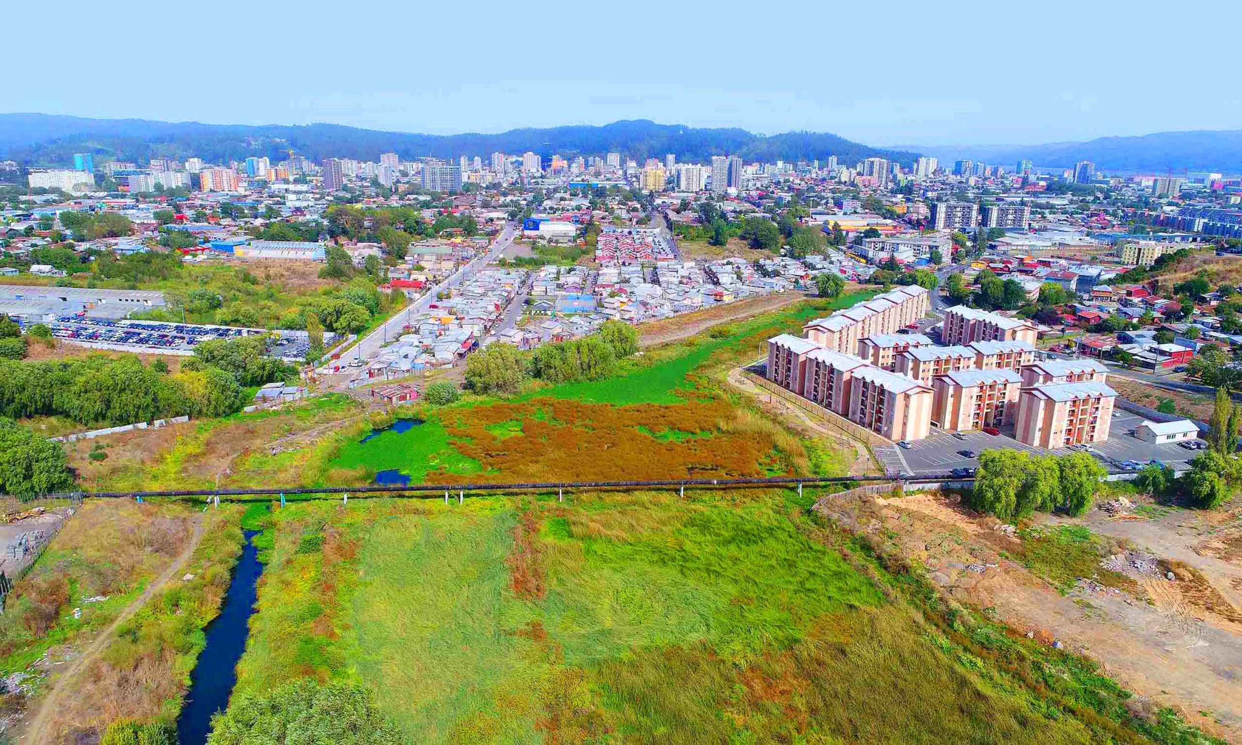 Humedal Paicaví: rechazan recurso de protección que buscaba frenar proyecto inmobiliario